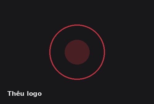 Thêu logo (demo)
