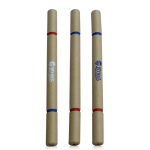 Bút bi giấy 2 đầu PP