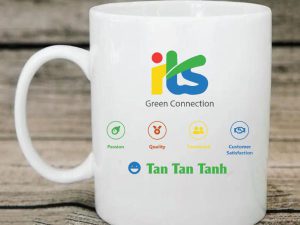 Ly sứ trắng LS01