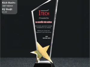 Cúp vinh danh pha lê ngôi sao xuất sắc